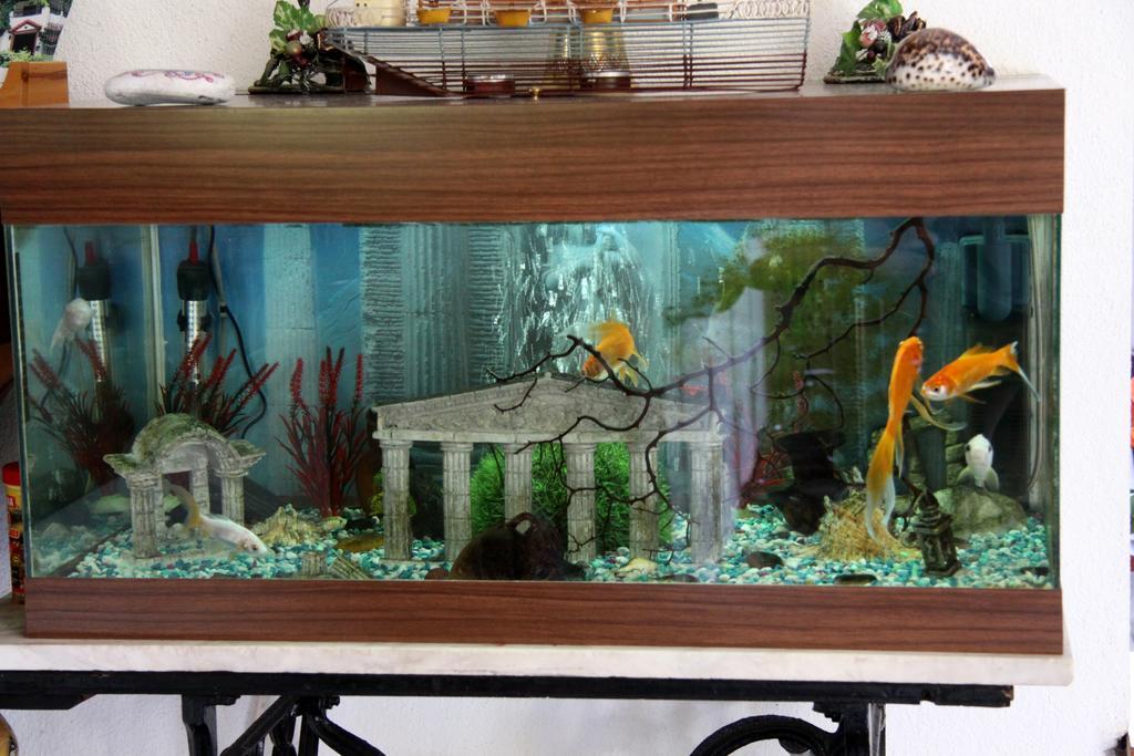 Hotel Mary Marathókampos Dış mekan fotoğraf
