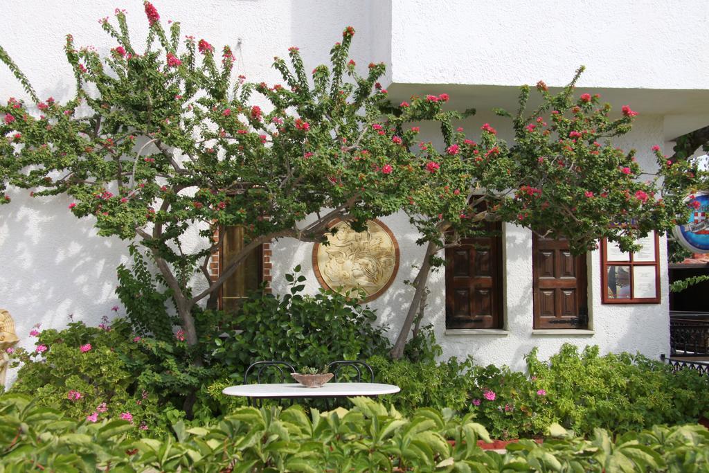 Hotel Mary Marathókampos Dış mekan fotoğraf